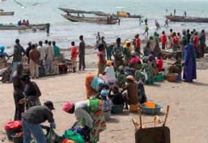 Beach landing and trading, Gambia. Source: UNCTAD 2014.