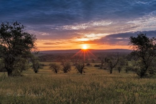 South-Amherst-052816-960